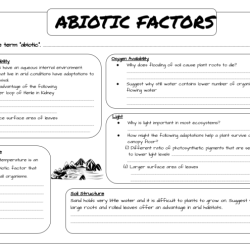 Biotic and abiotic factors worksheet