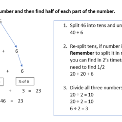 Number increased half