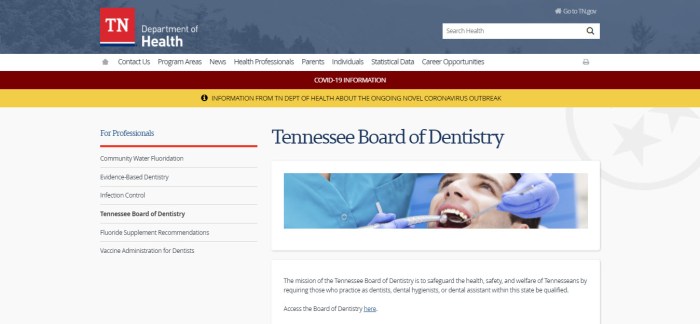 Mn board of dentistry ce requirements