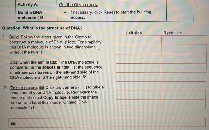 Student exploration building dna gizmo answer key